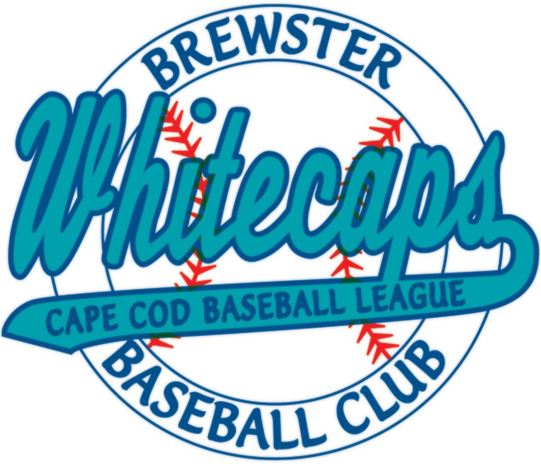Brewster Whitecaps 2011-Pres Primary logo iron on transfers for T-shirts